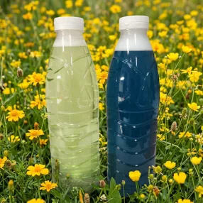   Perlux Univerzális Padló- és Felülettisztító – Óceán-Maracuja vagy Gyöngyvirág-Orchidea illat - Töltsd Újra! – Választható mennyiségben 